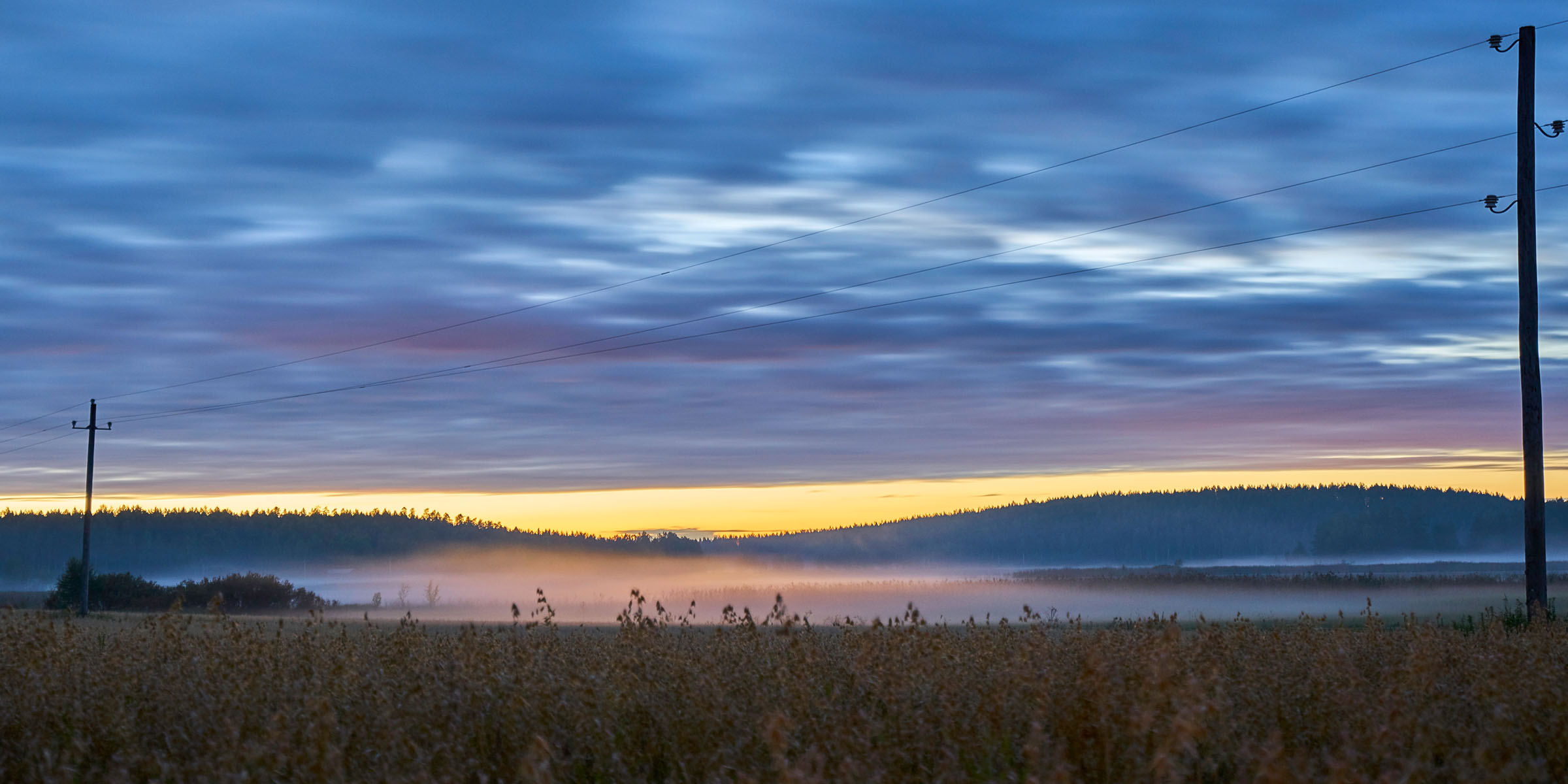 Aamu-usvainen maisema, jossa näkyy auringonlasku ja sähkölinjat.