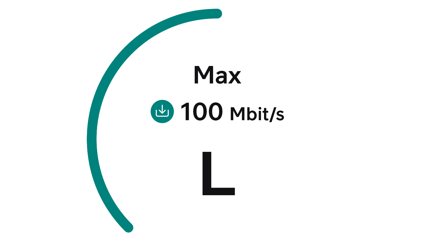 Laajakaista L 100 Mbit/s