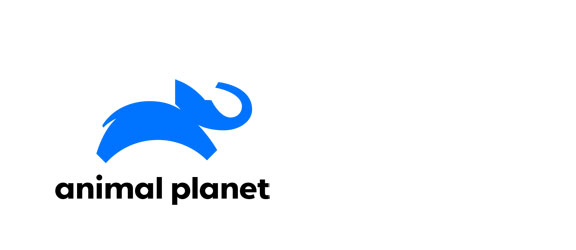 Animal Planet