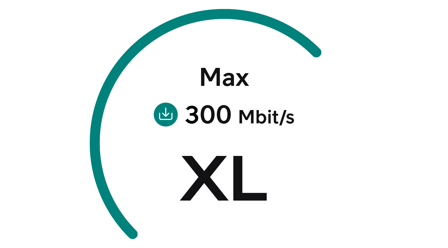 Max 300 Mbit/s