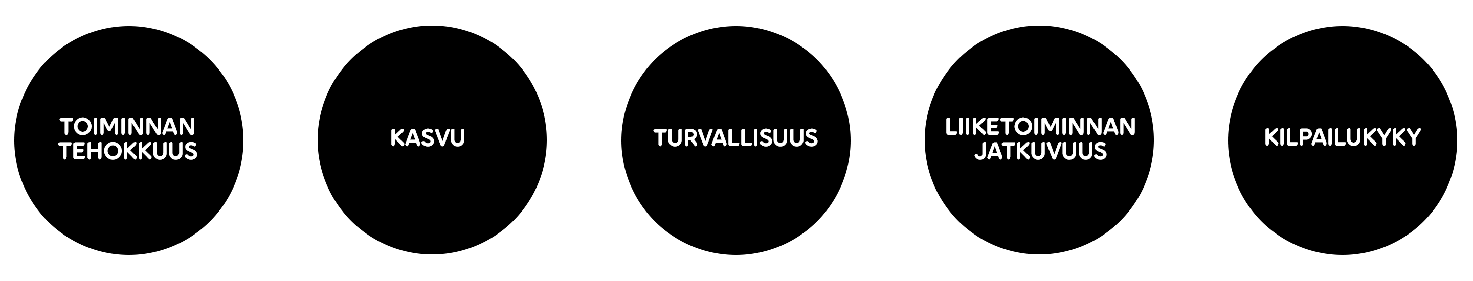 Mitä haluamme tuoda sinulle: